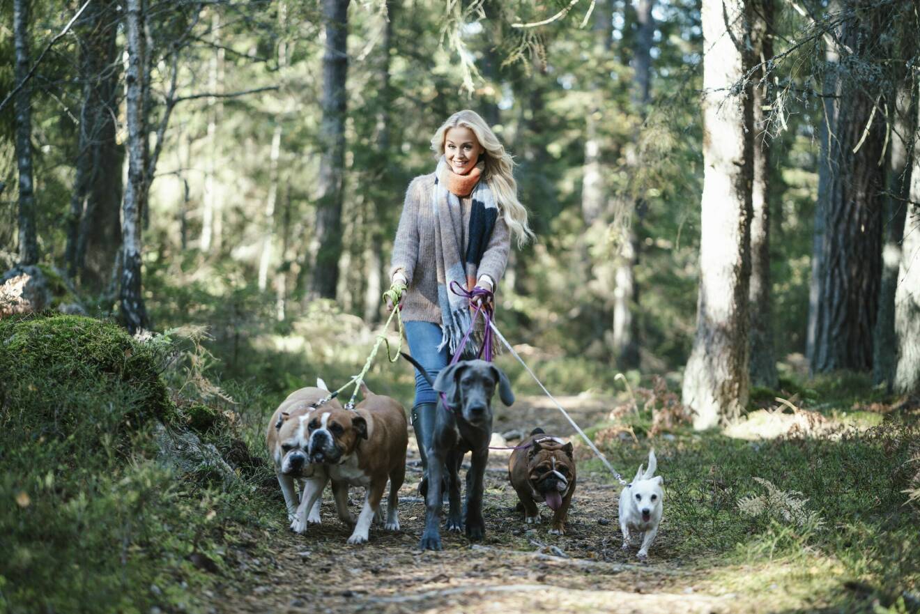 Johanna Lind Bagge på promenad med hundar.