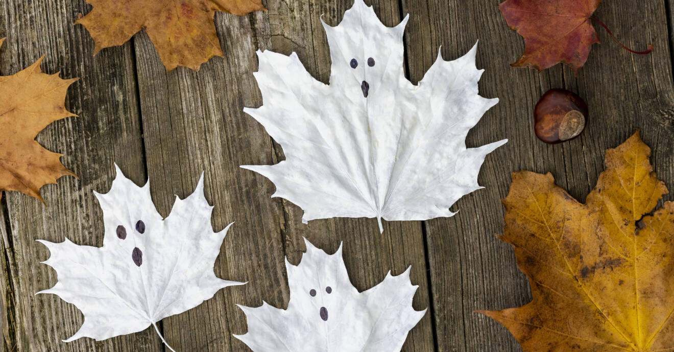 Vitmålade löv som föreställer spöken.