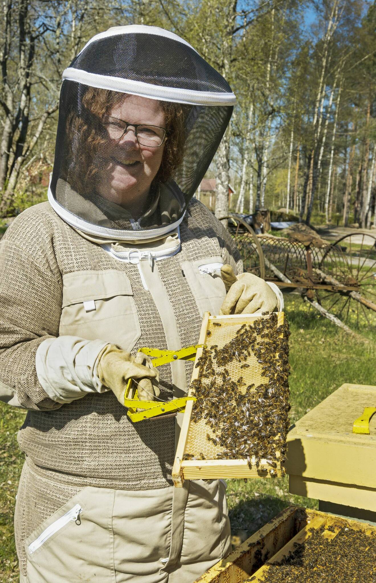 80 000 bin i varje kupa när det är en bra säsong för honung.