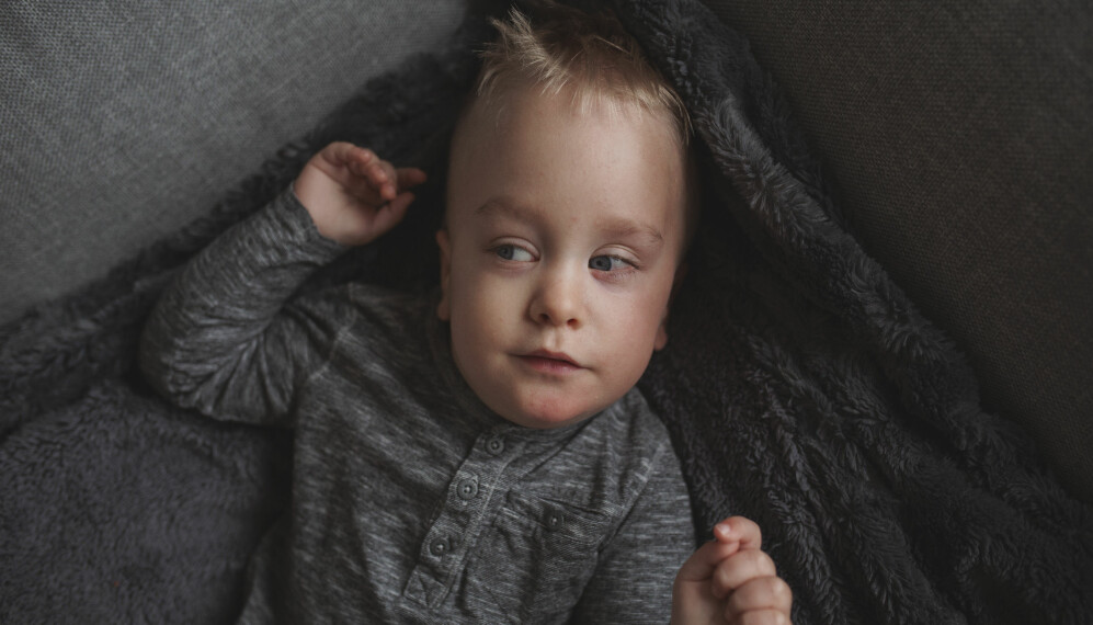 Läkarna trodde inte Elton skulle överleva, men han bevisade att de hade fel. Närbild på Elton som ligger i en grå soffa på en grå mjuk filt. Han har blåa ögon, blont hår, och tittar åt sidan.