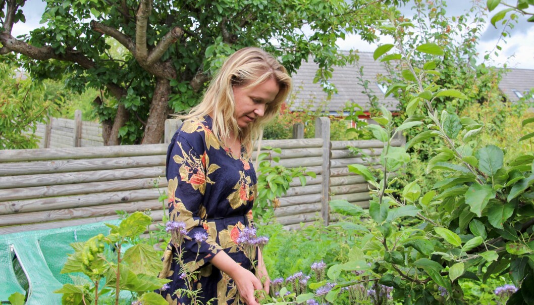 Anna-Maria har ett stort miljöintresse och odlar ett 40-tal olika frukter och grönsaker i sin trädgård.
