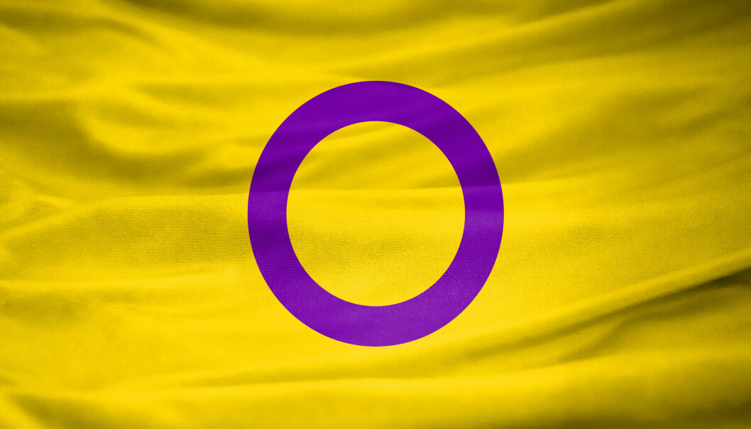 Intersex pride-flaggan