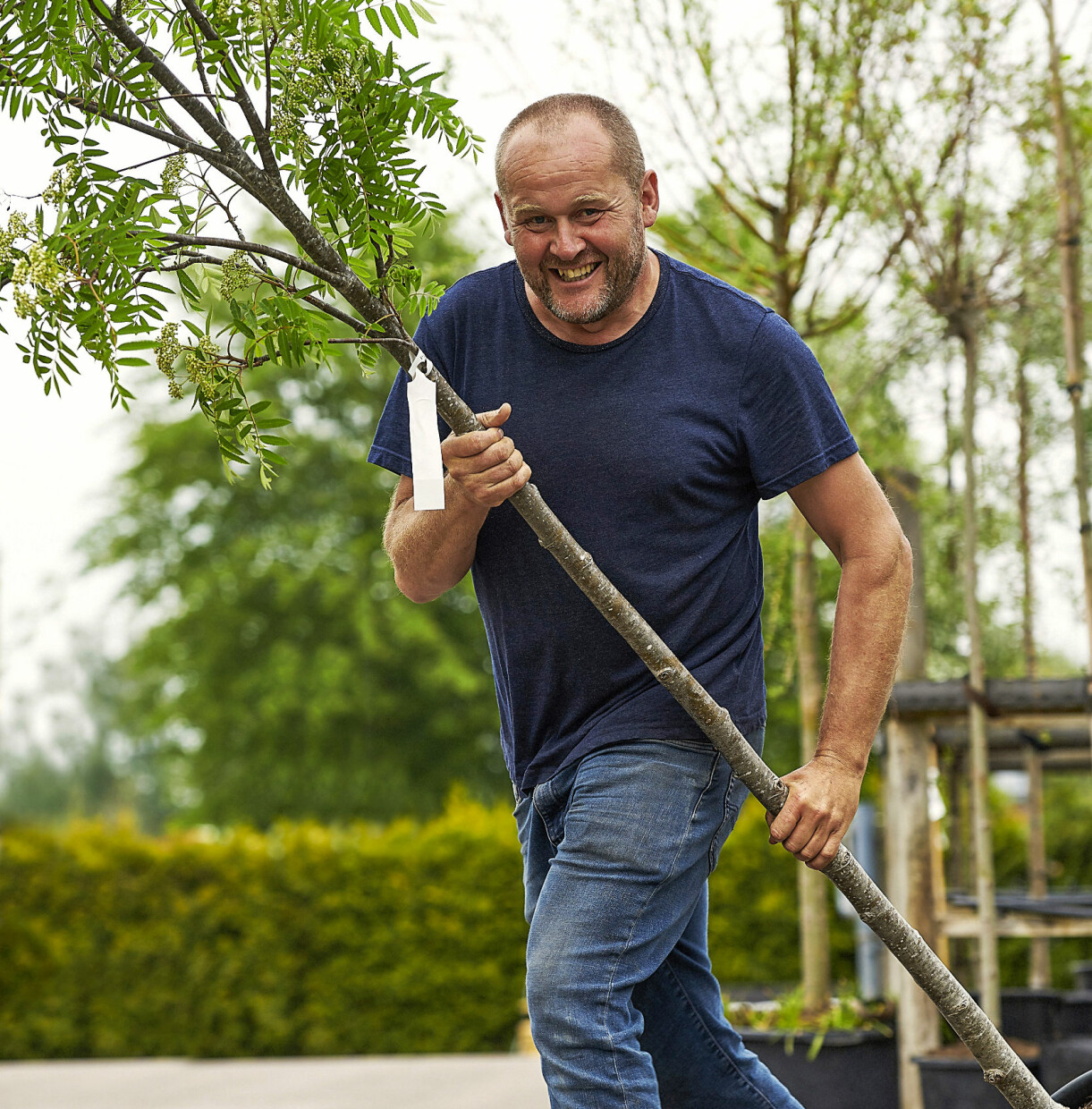 Trädgården behöver träd och stora exemplar är väl investerade pengar, menar John. Foto: Charlotte T Strömwall John Taylor med ett träd på plantskolan.