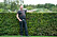 Trädgårdsmästaren John Taylor framför en häck i Malmös slottspark.