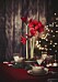 Röd amaryllis är både klassiskt och trendigt julen 2019