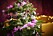 Julgran dekorerad med lila blommor och pynt i matchande färg