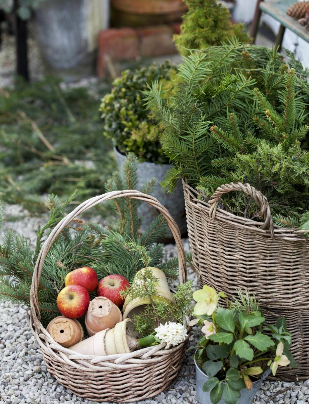 Välkomna gästerna med naturens julpynt. Foto: Minna Mercke Schmidt.