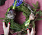 Julkrans med hyacintlökar.
