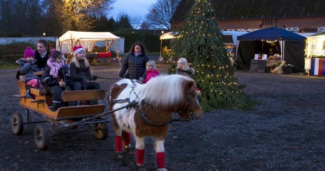 Upplev julmarknaden vid Bosjökloster i Skåne Allas