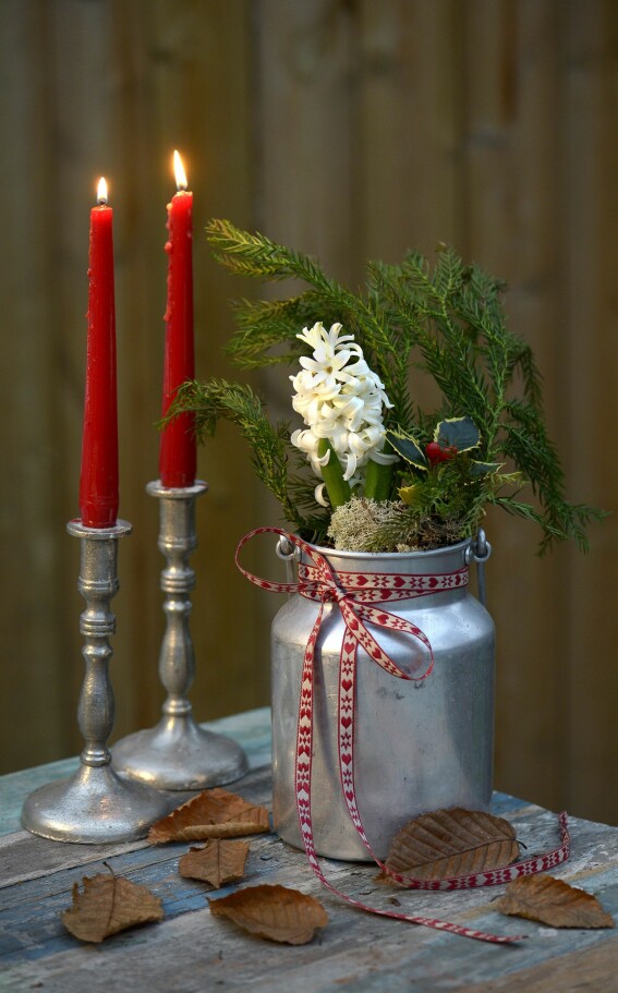 Fint och kreativt att plantera julgruppen i ett tennkärl. Foto: TT julplantering i tennkruka.