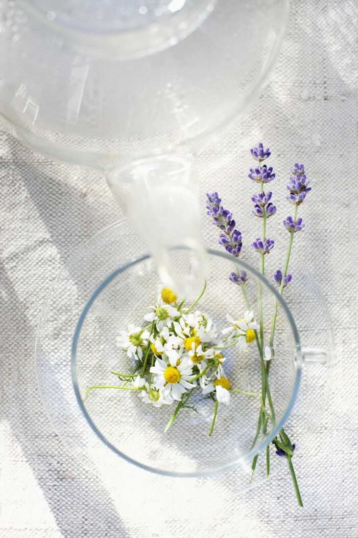 Kamomill gör sig fint både i mat och dryck. Kamomill är en ätbar blomma