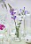 Purpursporre och kantnepeta är två blommande perenner som pryder sina platser i vasen.