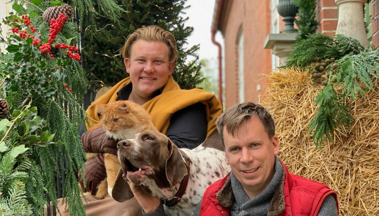 Karl Fredrik på Eklaholm-profilerna Karl Fredrik och Petter på juldekorerad trappa med hund och katt.