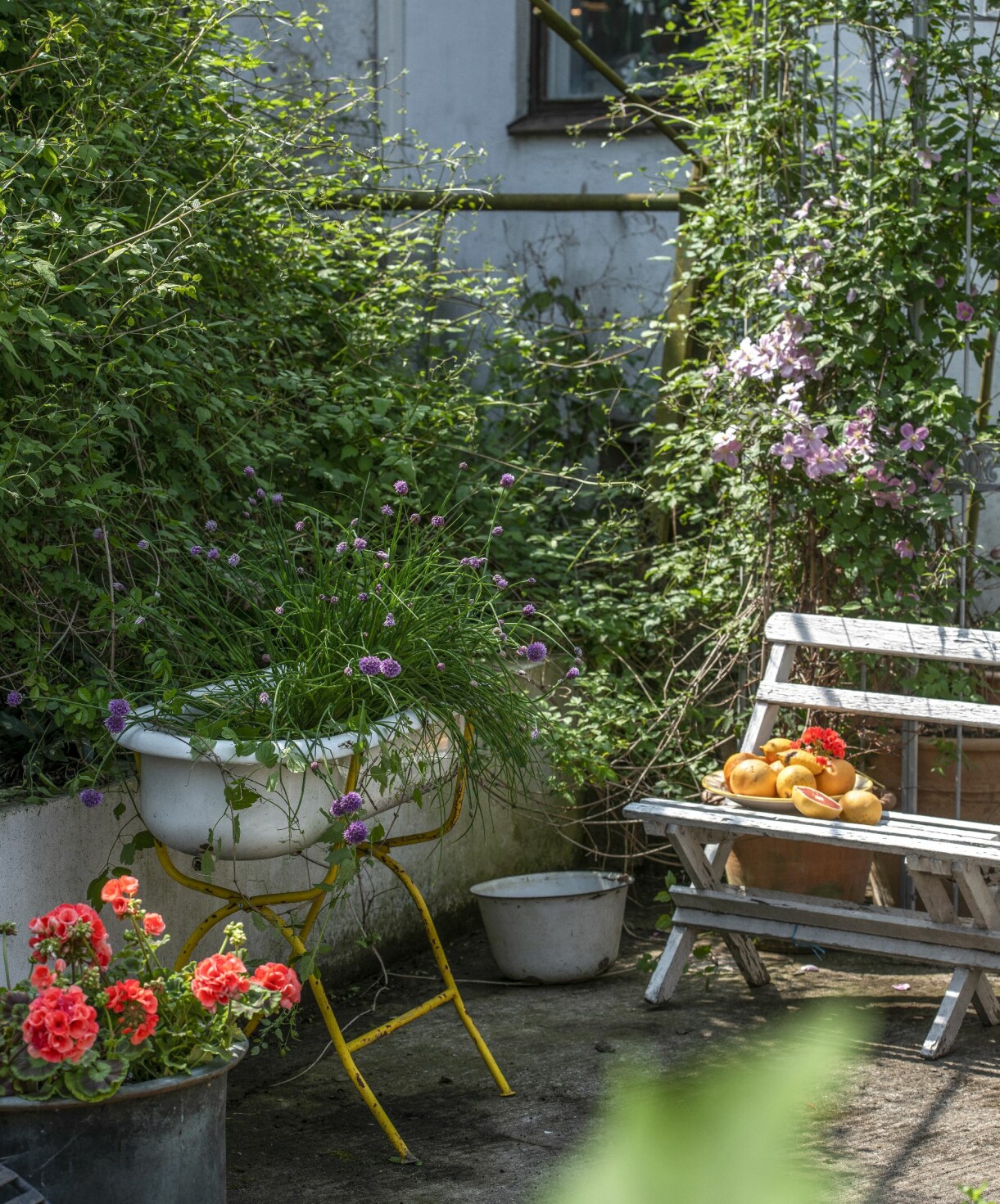 Här låg gödselstacken en gång i tiden. Nu har platsen förvandlats till en ljuvlig innergård med clematis slingrande runt voljären, som vi inte ser så mycket av på bild. Det lilla badkaret med gräslöksblommor har en gång tillhört ett franskt sjukhus och är jämngammal med den klassiska trädgårdssoffan. Båda är från 1900-talets första del. Uteplats hos Karl Fredrik på Österlen