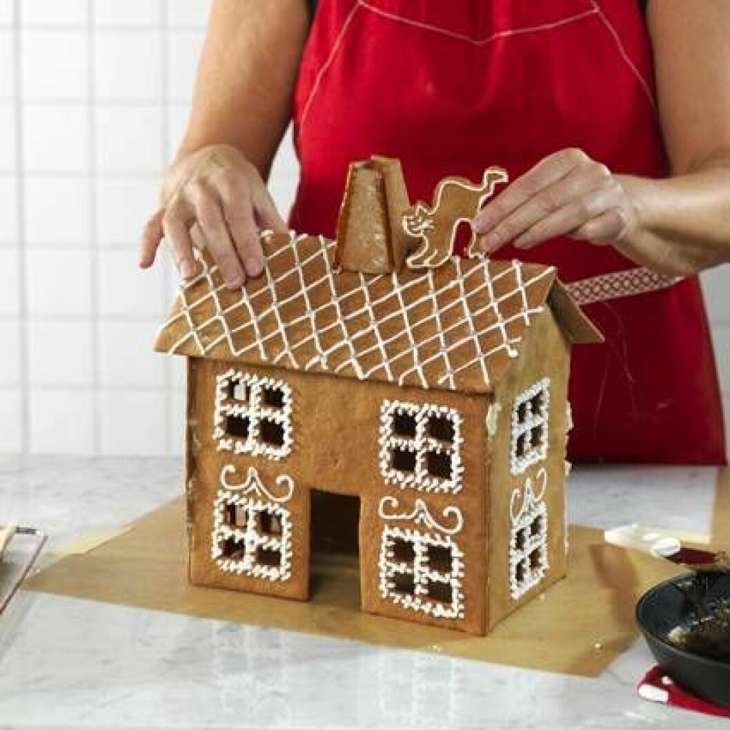 Katt på ta på pepparkakshus.