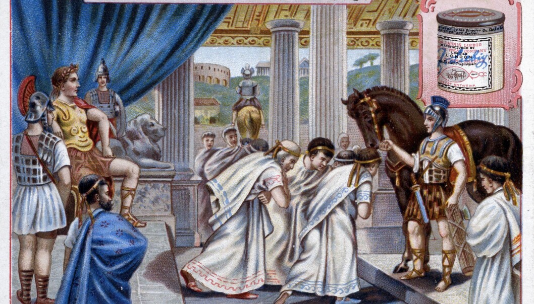 Caligulas häst Incitatus hade hög status i Romarriket. Kejsaren utsåg honom till konsul, han fick egna slavar och bodde i ett stall av marmor. Kejsare Caligulas häst Incitatus.