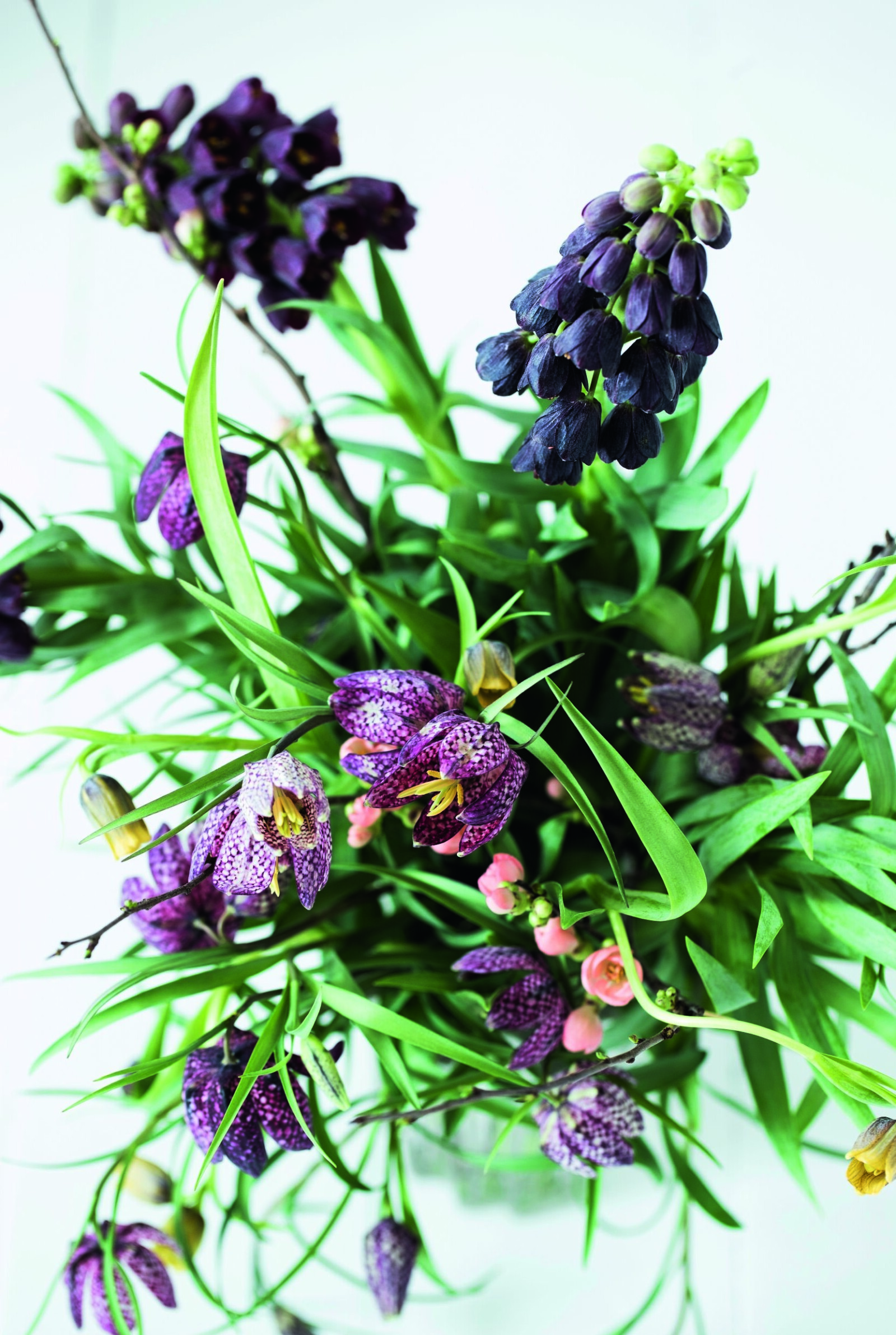 I denna bukett samsas kungsängslilja, mörk klocklilja, grå klocklilja och sist men inte minst – kvittengrenar med persikofärgade blommor. Bukett med kungsängslilja, mörk klocklilja, grå klocklilja och kvittengrenar med persikofärgade blommor.