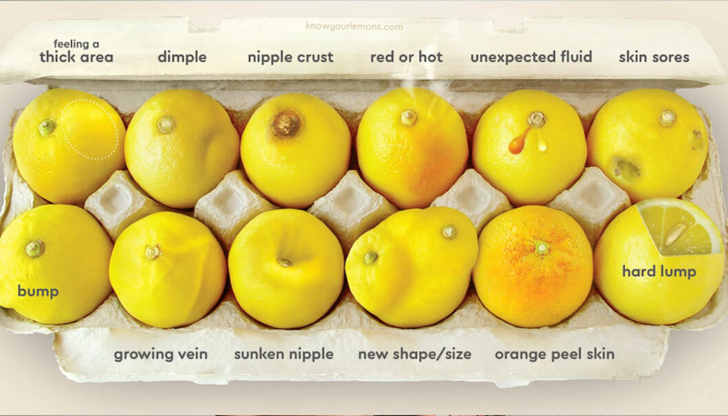 Citroner som ser ut på olika sätt.