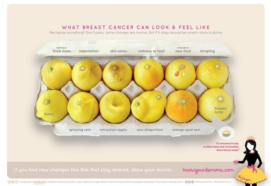 Bild på citroner i en äggkartong från Know your lemons-kampanjen 