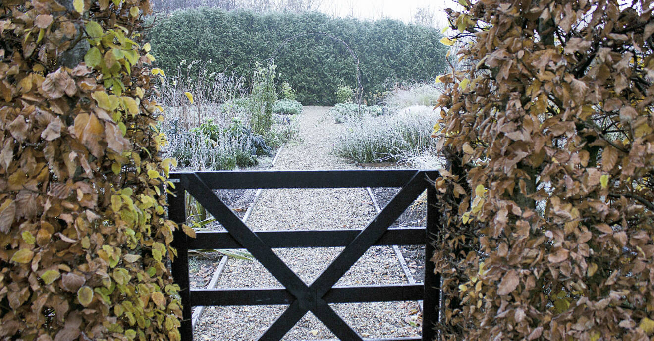 Köksträdgården har en korsgång som tillför en struktur också vintertid.