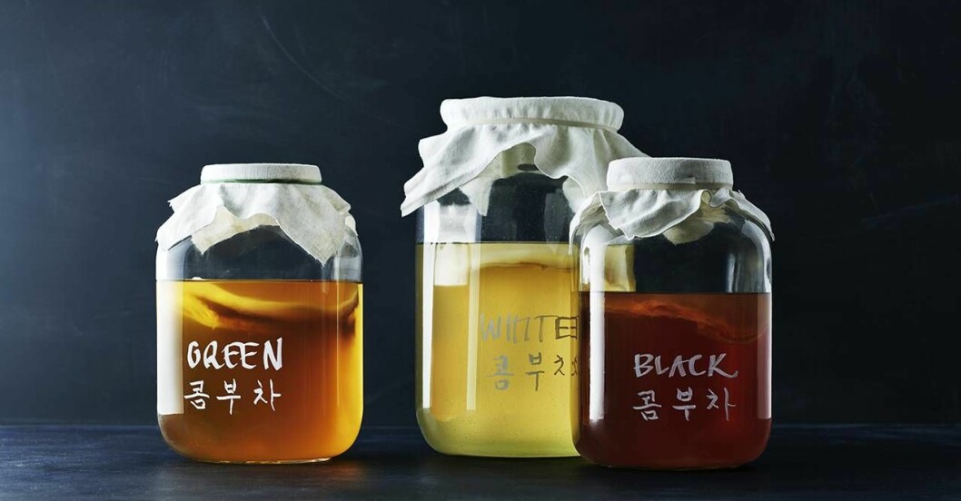 Kombucha är en syrlig dryck med massor av goda bakterier. Olika burkar med kombucha.