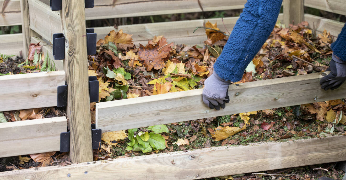 Lösa brädor på framsidan av komposten gör det enklare att komma åt och arbeta med din kompost.