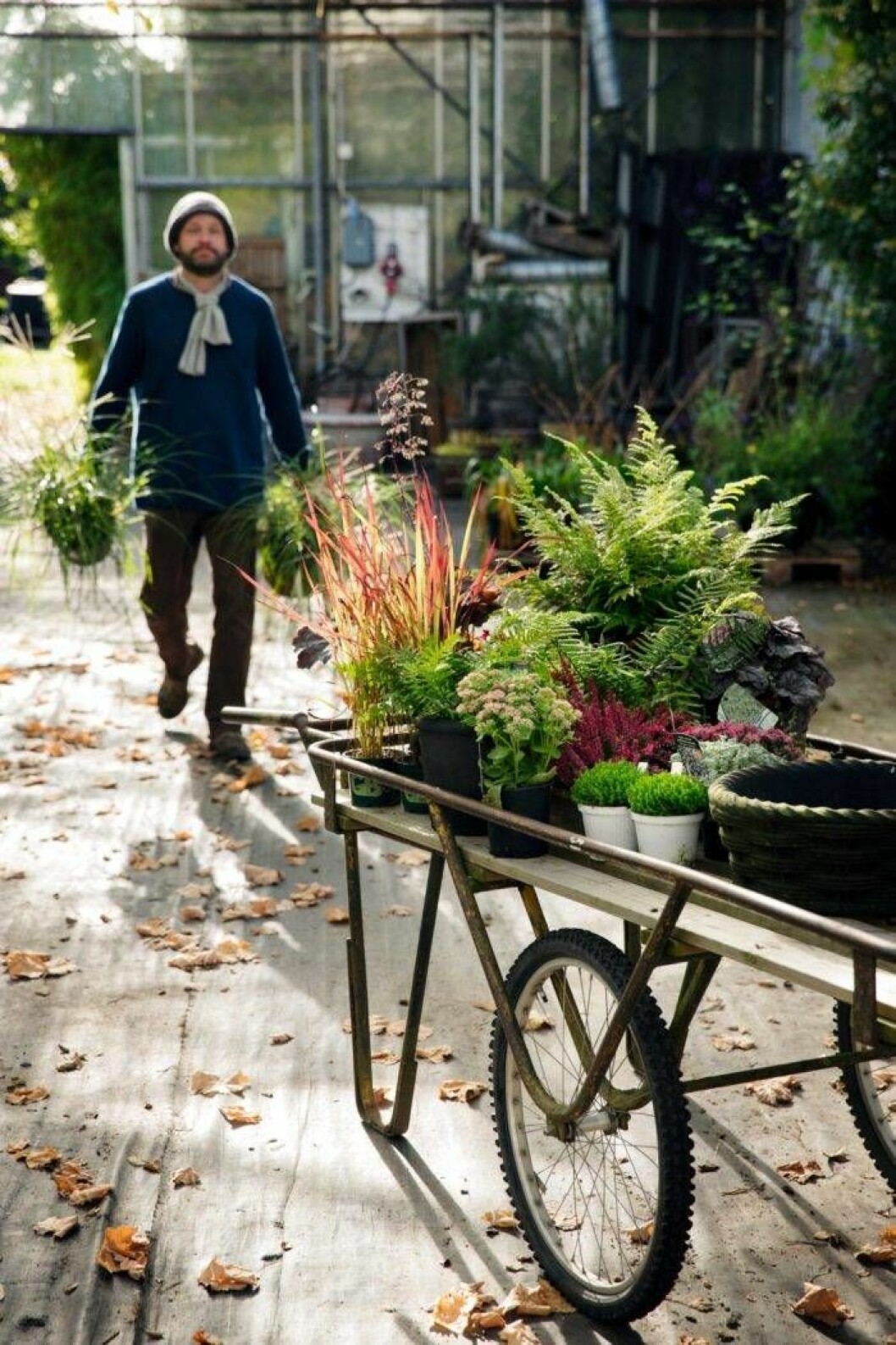 Ta dig tid och leta runt i din plantskola eller trädgårdsbutik. Här är Löddeköpinge plantskola. Det finns mycket att plocka ihop! Foto: Anders Kronborg Konsten att övervintra i krukor.