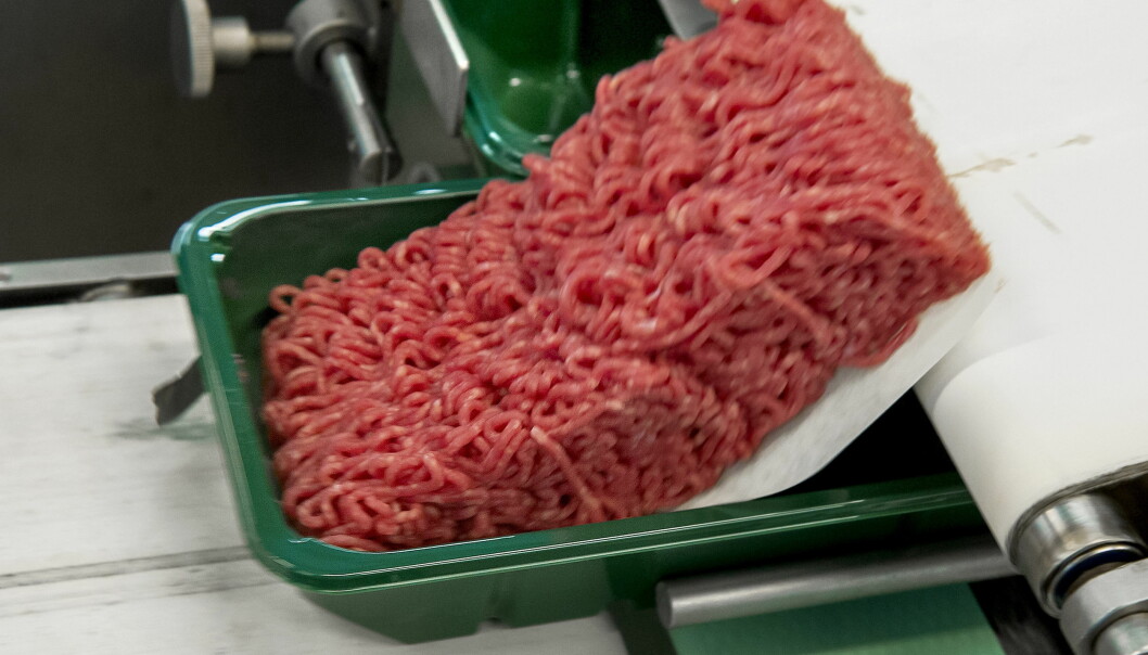 Hur köttfärsen är förpackad har en stor inverkan på dess hållbarhet. Köttfärs åker ner i en grön plastförpackning för att sedan säljas i butik.