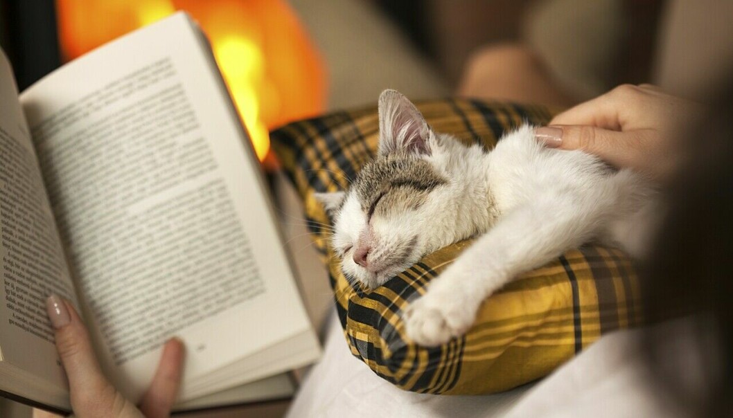 En kvinna läser en bok med en katt i famnen.