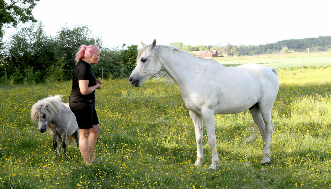 Kvinna med hästar.