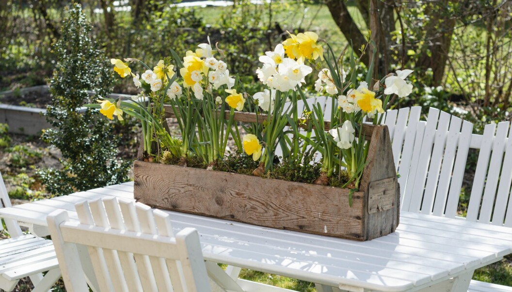 Ett långsmalt påskarrangemang med blommor.
