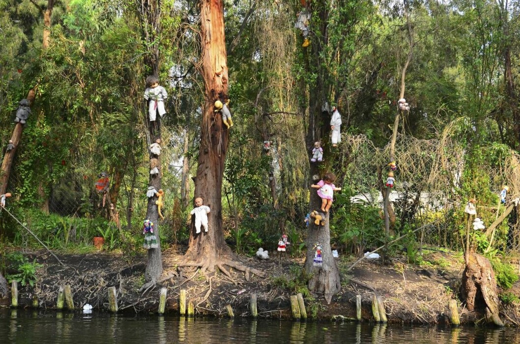Dockön, Isla de las Munecas, är belägen i Xochimilco, Mexico City. Och bakom dockorna i träden finns en ryslig historia. Dockön i Mexiko – dockor hänger i träden