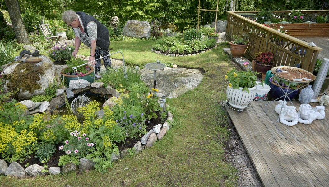 Liselott står vid en av de runda rabatterna med blommor och en liten dam i trädgården hon har anlagt vid husvagnen som hon bor i sedan 14 år och berättar om sitt stora intresse för trädgård.