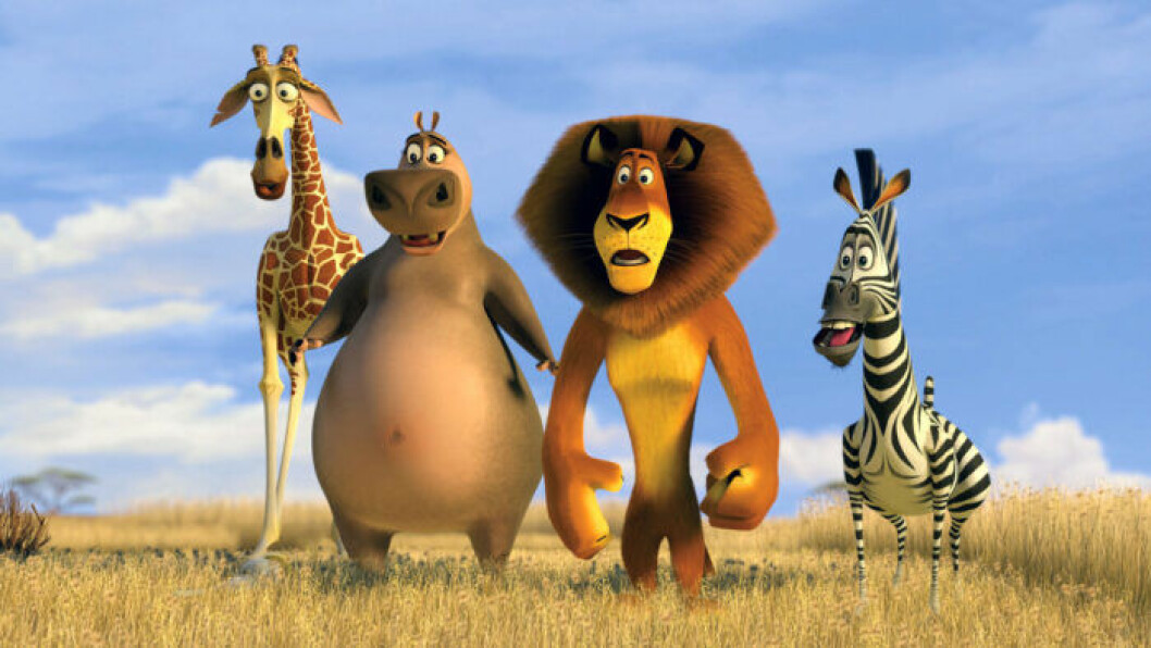 David Schwimmer gjorde rösten till giraffen Melman i <em>Madagaskar</em> tillsammans med Jada Pinkett som flodhästen Gloria, Ben Stiller som lejonet Alex och Chris Rock som zebran Marty. David Schwimmer gjorde rösten till giraffen Melman i Madagascar.