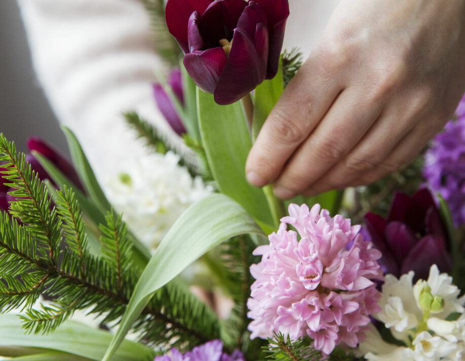 Hyacinter, tulpaner och kvistar från barrträd passar perfekt på matbordet. Maffig blomsterbukett av hyacinter, tulpaner och kvistar från barrträd.