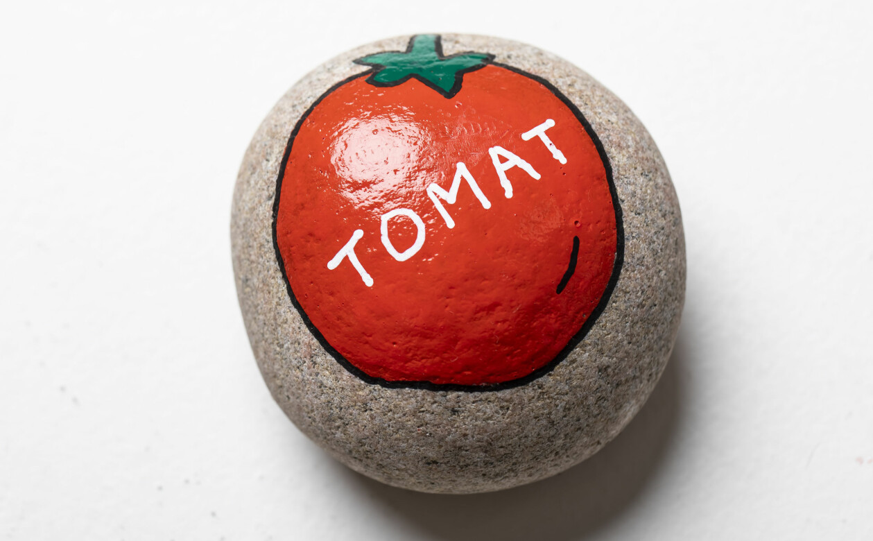 Målad planteringssten med en tomat på