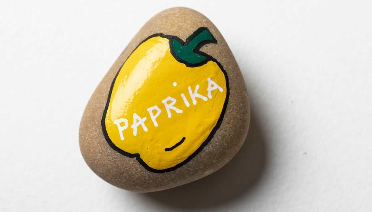 Målad sten för din plantering med en gul paprika på