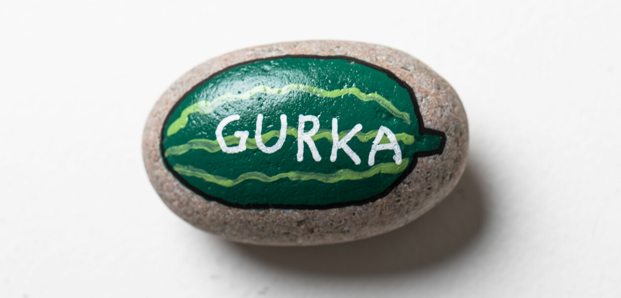 Målad sten till planteringen med en gurka på