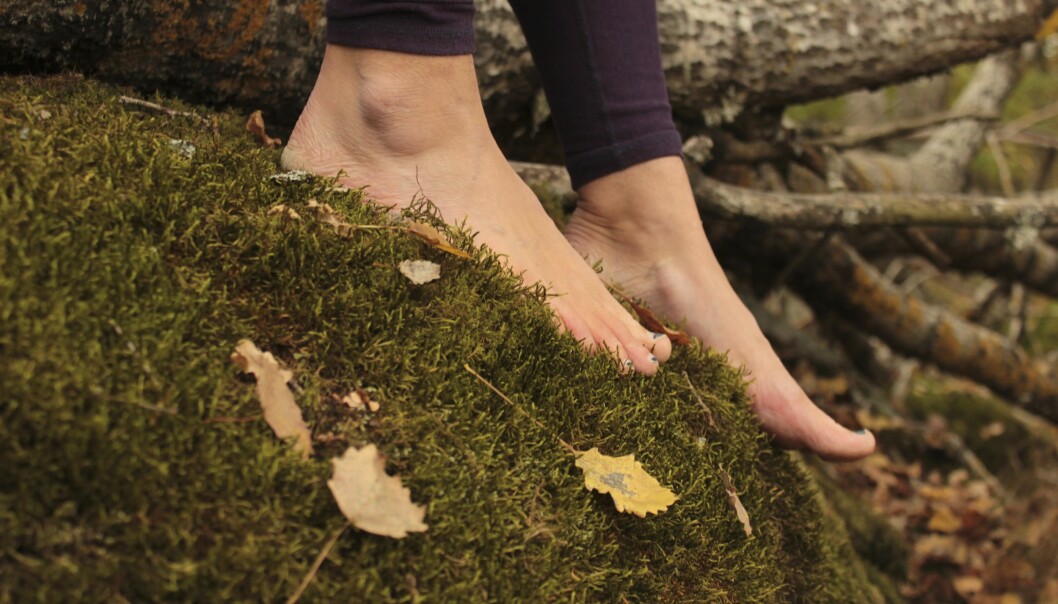 Fötter på mossa i skogen.