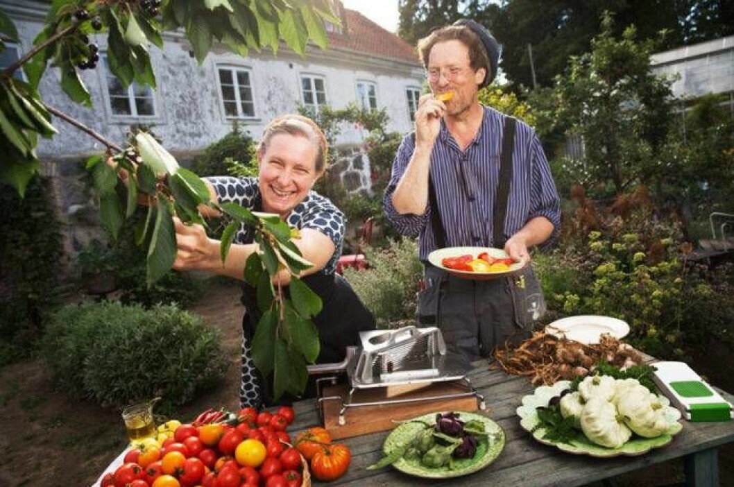 Besökare från när och fjärran väntas till Mandelmanns gård i sommar. Palnerna på tillbyggnad har dock fått anstå Foto: IBL Mandelmanns har det trevligt i Mandelmanns Gård.