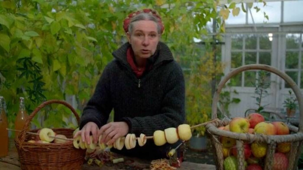 Marie Mandelmann med äpplen i Mandelmanns gård.