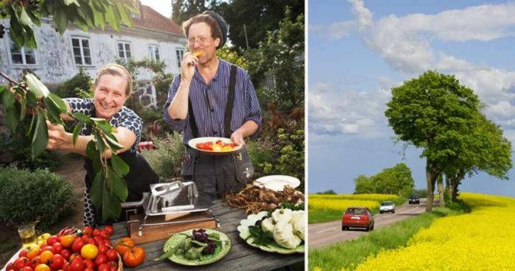 Mandelmanns vill bygga ut sin parkering vid gården.