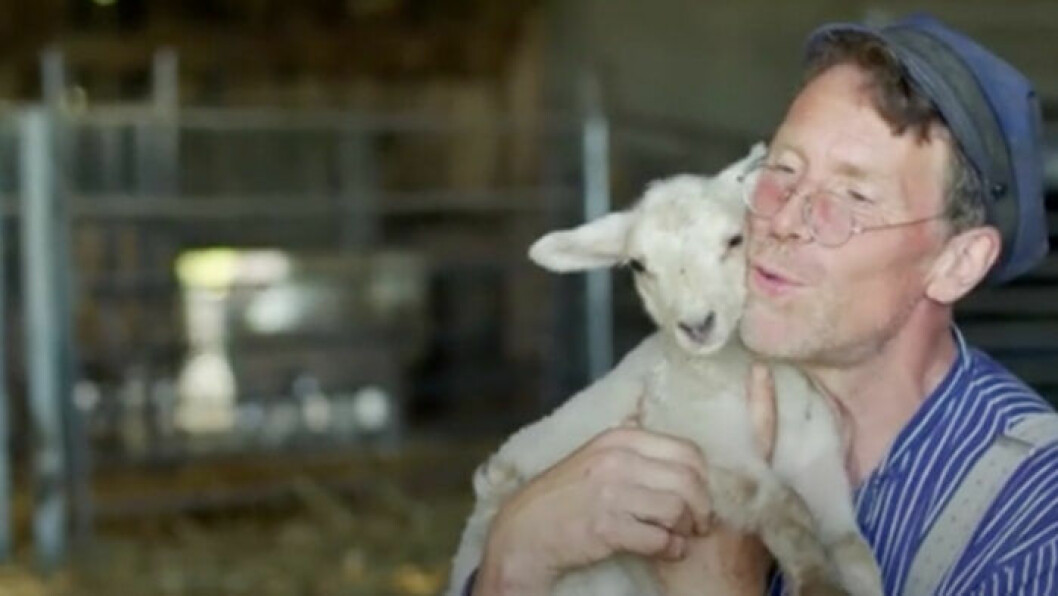 Gustav tar hand om ett flasklamm, vars mamma gick bort vid födseln. Foto: TV4 Gustav Mandelmann och ett flasklamm.
