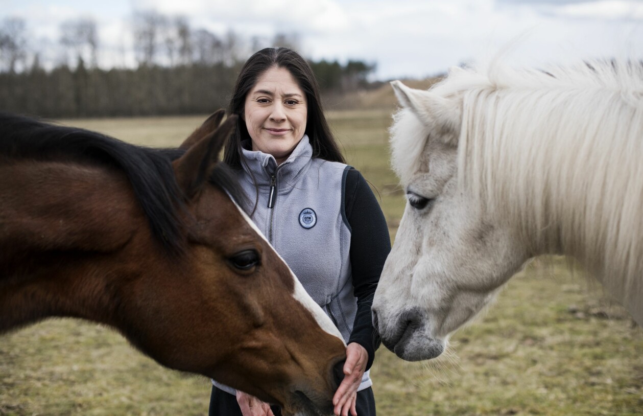 Hästar och ridning är Marias stora fritidsintresse. Maria Nilsson blev stulen och bortadopterad som bebis, här med sina hästar.