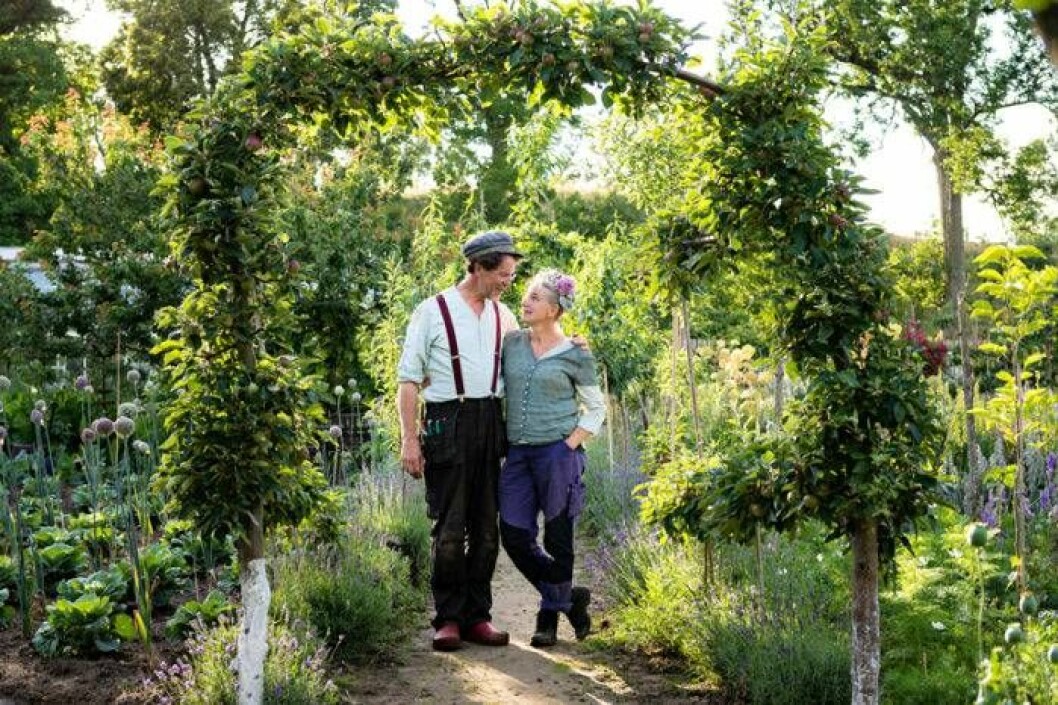 I dag har Gustav Mandelmann hittat knep för att komma förbi sina allergier. Foto: Cecilia Möller/TV4 Gustav och Marie Mandelmann på gården Djupadal