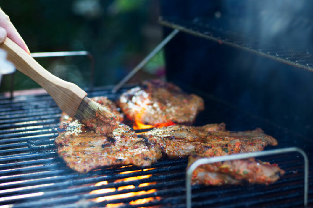 Ska man marinera innan, under grillningen eller efter? Bild: IBL Mariand, rub, glaze-vad ska man välja?