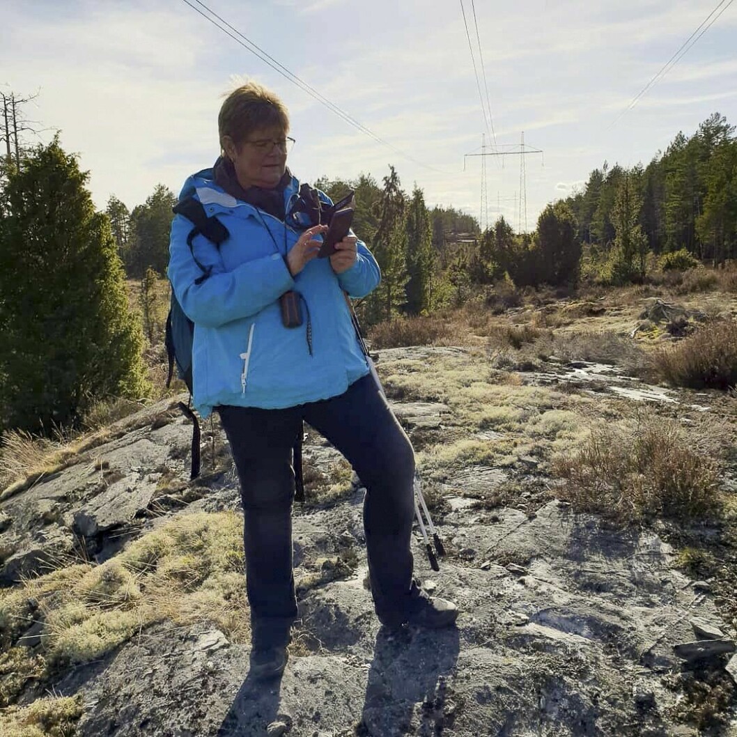Det är ute i naturen som Marinette helst vill vara när hon letar. Men det finns massor av cacher att hitta i städerna också, inte minst i grönområdena. Marinette Olsson står på en klipphäll, under några kraftledningar, och tittar i mobilen under sin jakt på geocacher.
