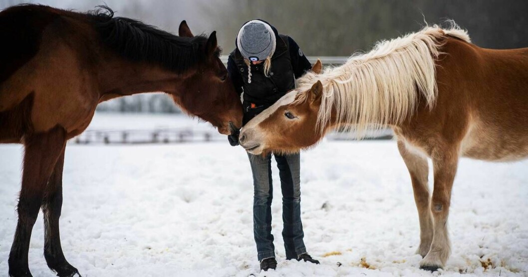 Många av Carinas vänner hade tvingats bort av sambon. Men två av vännerna hjälpte Carina att fly misshandeln. Foto: Birgitta Wiberg