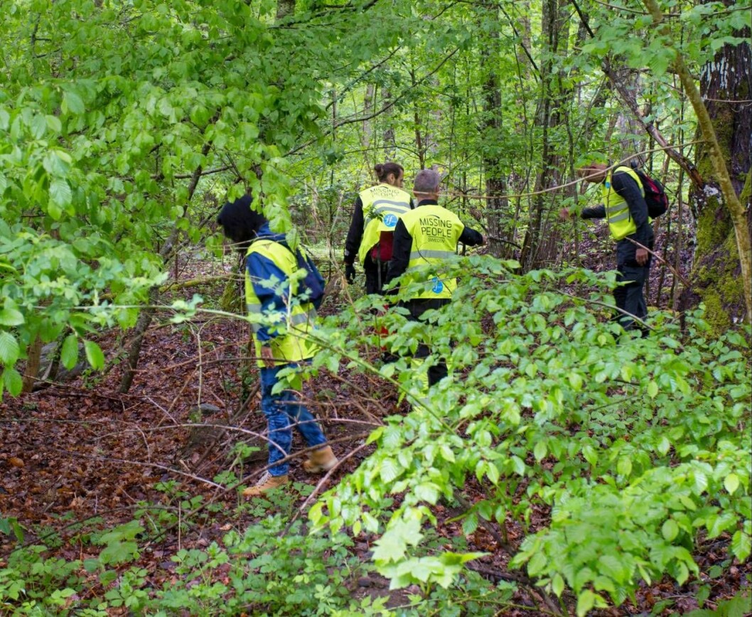 Missing Peoples fotpatrull söker av område i skog