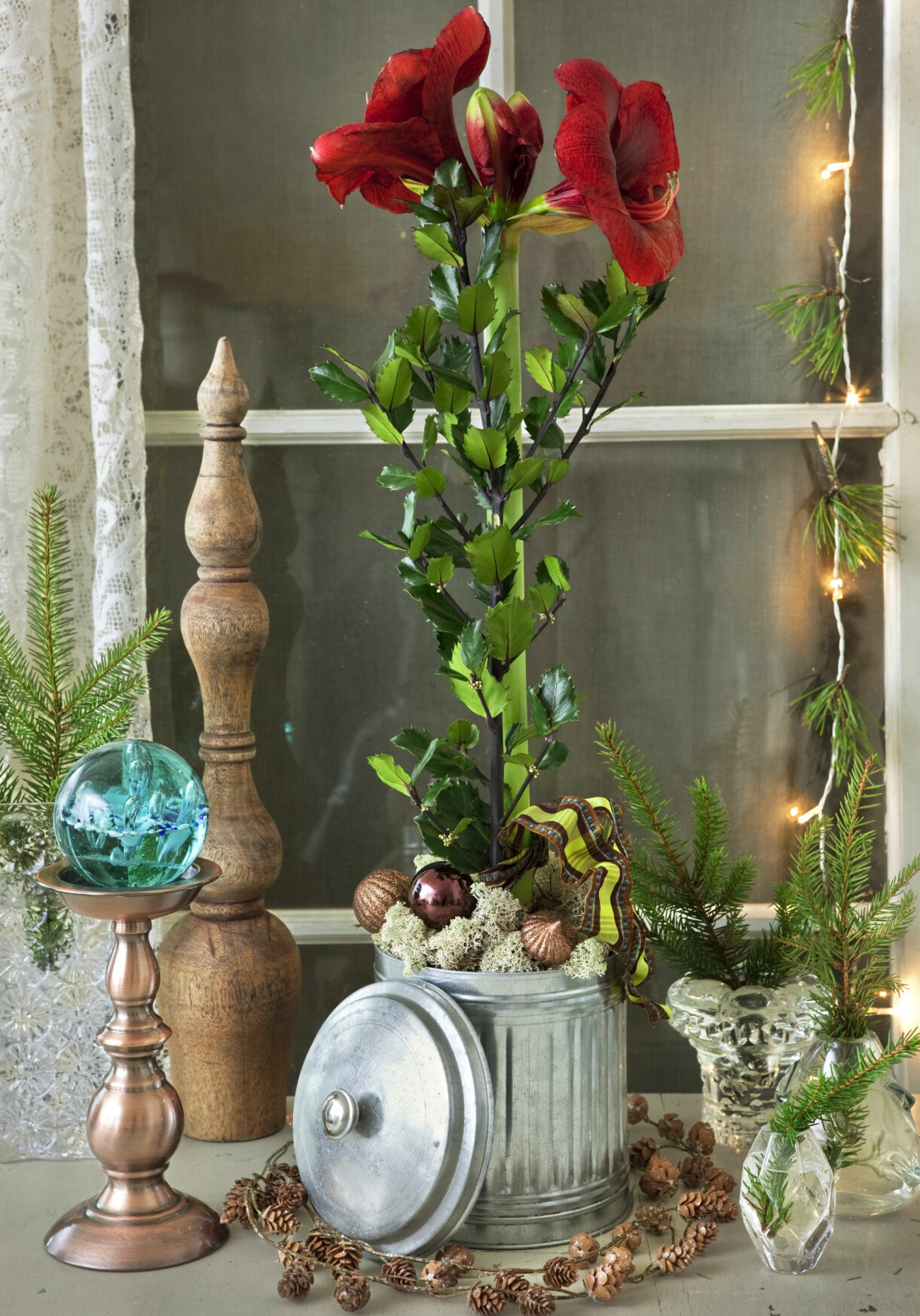 Modern amaryllis planterad i zinkburk.
